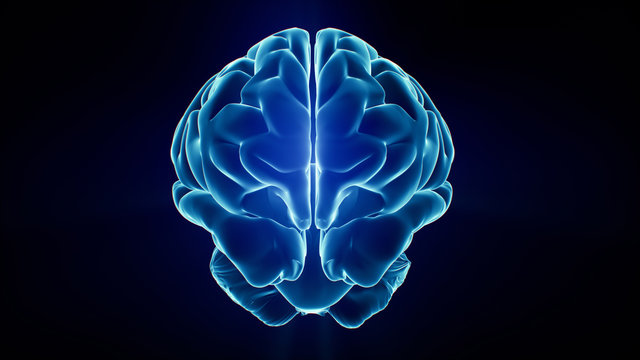 33 154 best brain xray images stock photos vectors adobe stock 33 154 best brain xray images stock photos vectors adobe stock
