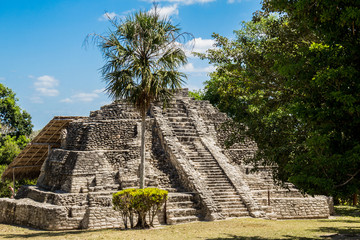 Chacchoben Mayan Ruins I