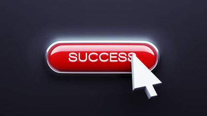 Success Button