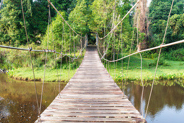 Rope bridge in national park