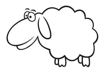 Sheep
