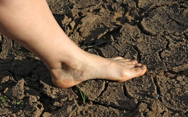 bare foot on the cracked dry earth