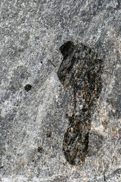 human footprint in stone