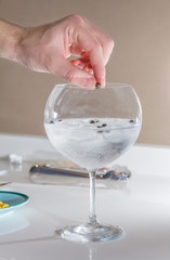 Barman putting cardamom ball to prepare gin tonic
