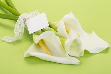 white lilly flowers on green - obrazy, fototapety, plakaty