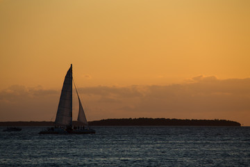 Fototapeta premium sailing catamaran at sunset