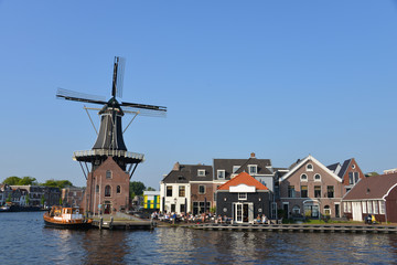 Typical Dutch scenery - 65161824