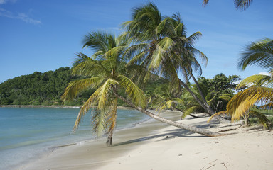 salt whistle bay mareau saint vincent and the grenadines 02