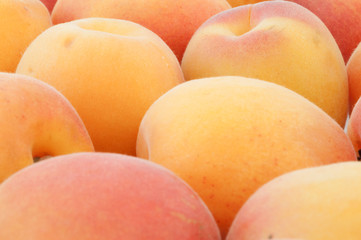 beautiful background of apricot