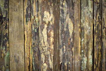 Wood Background