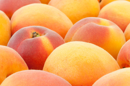 beautiful background of apricot