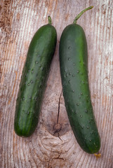 Cucumber