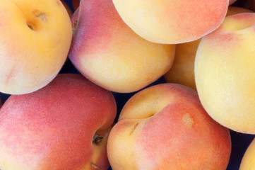 beautiful background of apricot