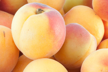 beautiful background of apricot