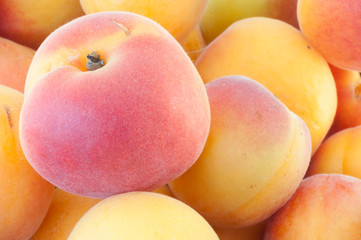 beautiful background of apricot