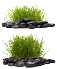 grass and stones isolated on white background