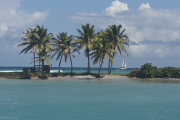Fototapeta na wymiar Dłoń Mayreau Saint Vincent i Grenadyny karaibski 16