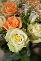 Light Yellow Rose