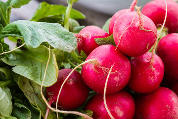 Fresh radishes