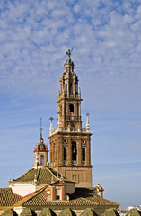 Fototapeta na wymiar Church of Santa Mari­a la Mayor, Carmon Spain