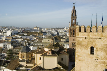 Church of Santa Mari­a la Mayor,in Carmona, Spain.