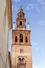 Cathedral. Carmona, Spain