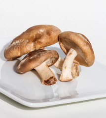 shiitake mushrooms