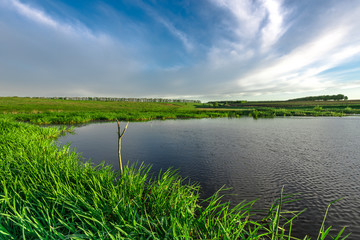 Beautiful landscape with lake and meadow