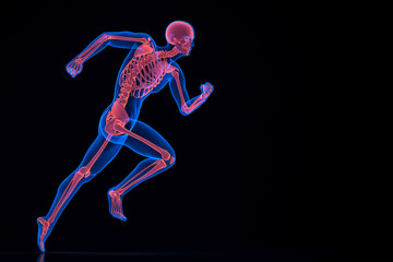 Fototapeta na wymiar Running 3d skeleton. Contains clipping path