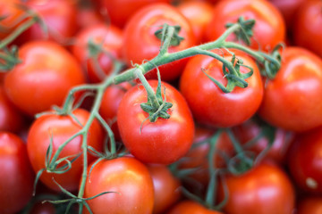 Tomatoes