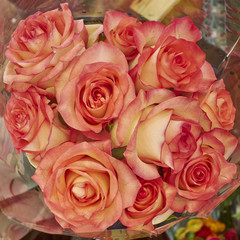 rose flowers bouquet closeup, natural background