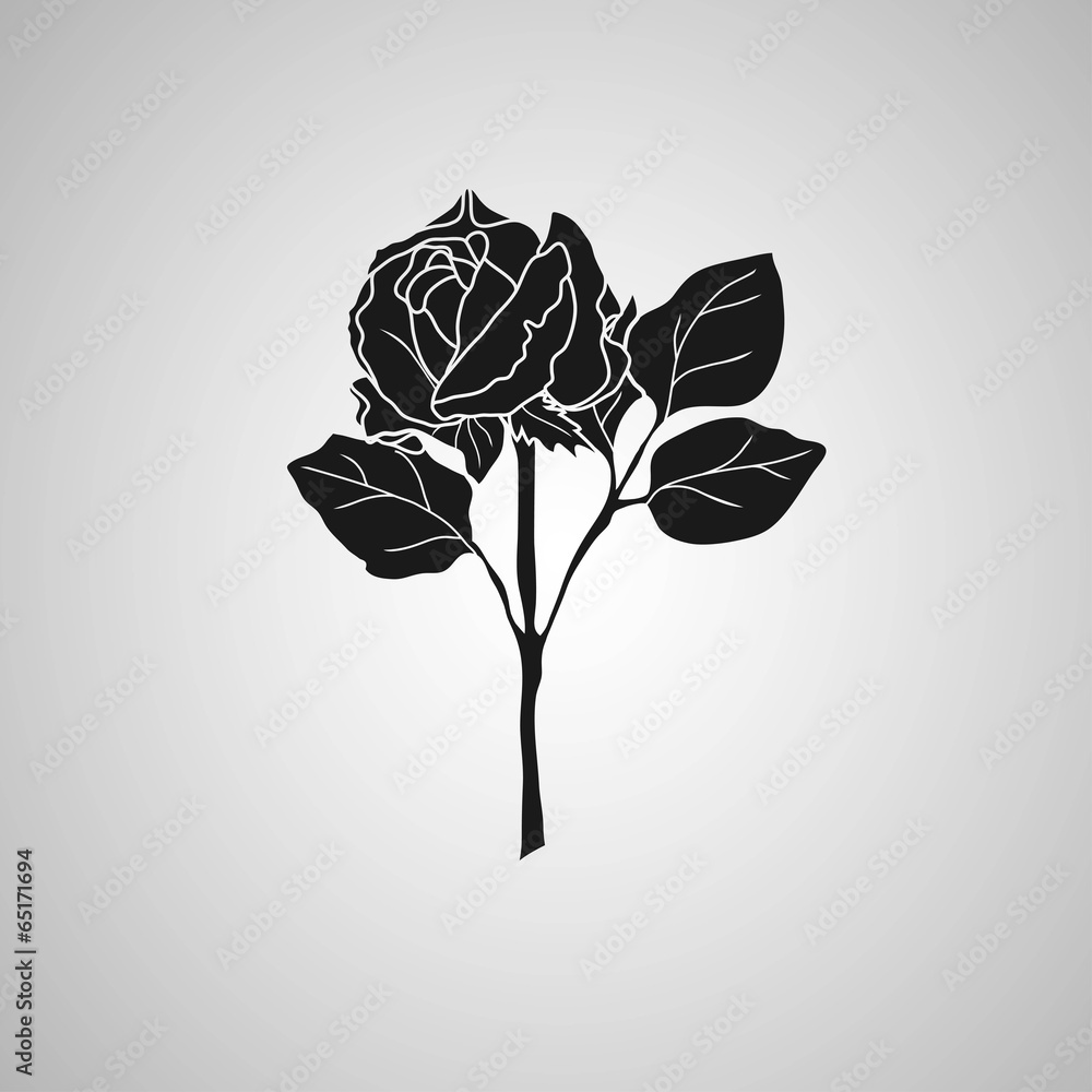 Wall mural rose symbols, decorative vector illustration