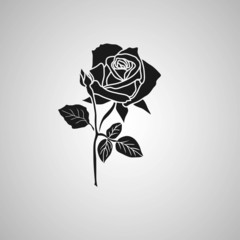 rose symbols, decorative vector illustration