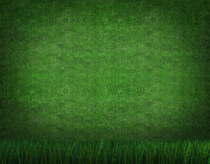 soccer field 