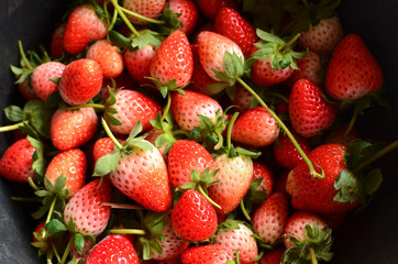 Fresh Strawberries