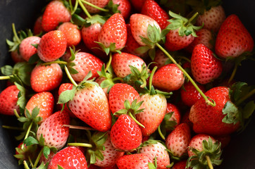 Fresh Strawberries