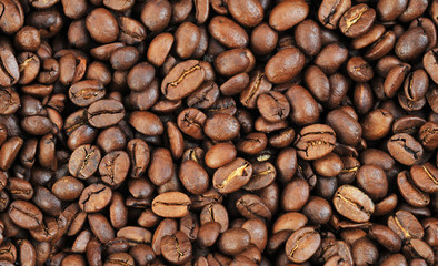 coffee beans close up