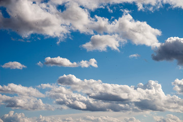 Blue sky with fluffy clouds