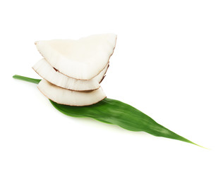 Coconut over the palm leaf