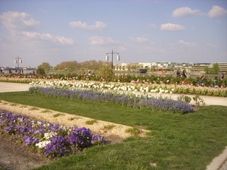 Quais de Bordeaux fleuri