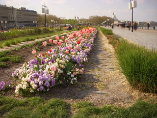 balade sur le bord de la Garonne à Bordeaux