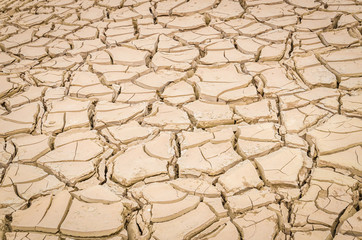 cracked soil