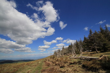 signal du Luguet - Auvergne