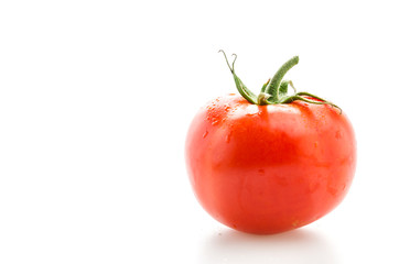 Tomato isolated on white
