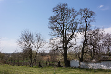 Obraz premium rural landscape