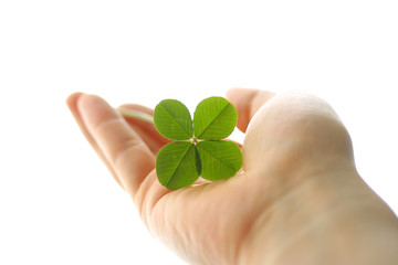A four leaf clover in hand
