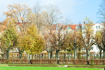 Beautiful park in sunny day, Germany