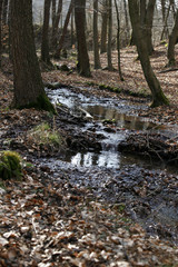 Waldbach