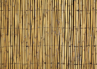 Background Bambus