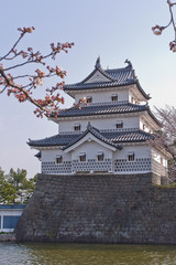 春の新発田城の三階櫓